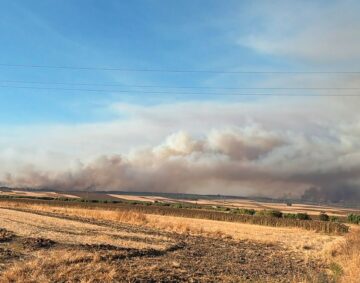 incendio-niebla