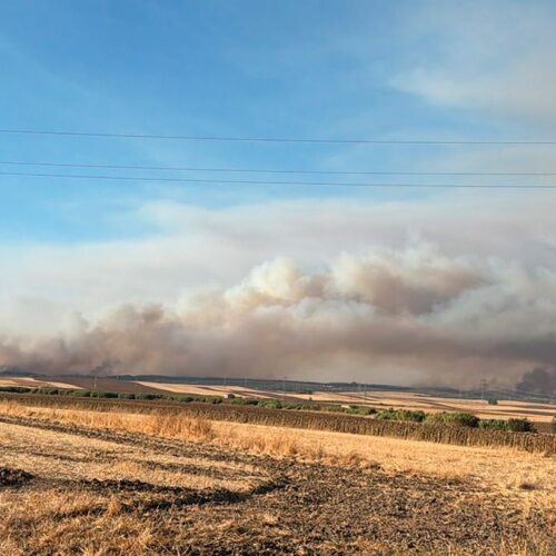 incendio-niebla