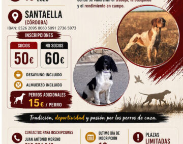 pruebasantaellacdsanhuberto