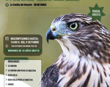 1ª Puntuable de cetrería (1)