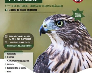 1ª Puntuable de cetrería (Post de Instagram (45)) (1)