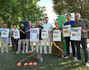 copa diputacion