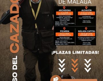 málaga cursos