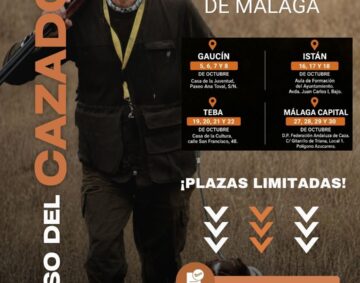 Design Option B (4)