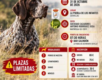 open-san-huberto-cotossur