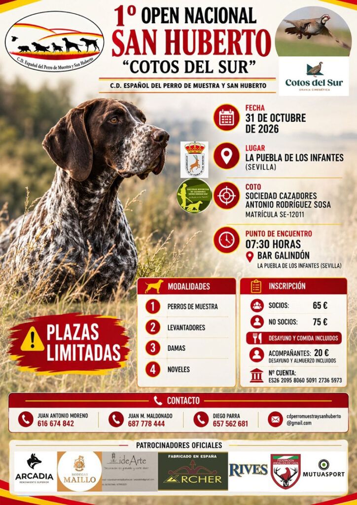 El Club Deportivo del Perro de Muestra abre la inscripción para el I Open Nacional de San Huberto 