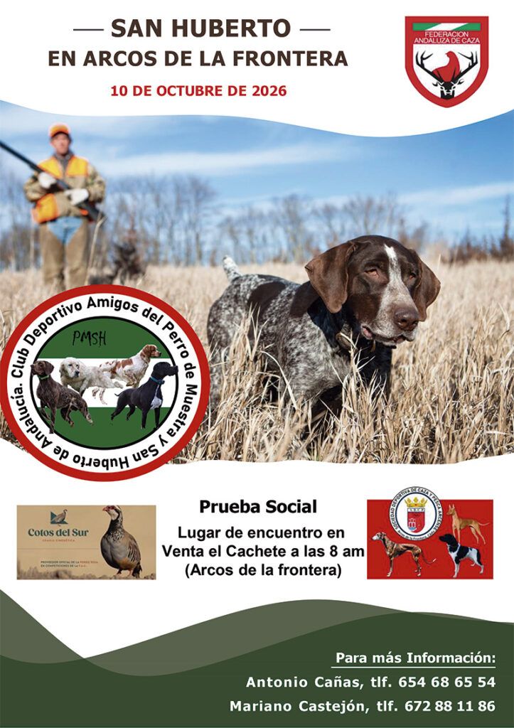 El Club de Amigos del Perro de Muestra convoca una prueba social de San Huberto el próximo 10 de octubre