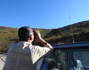 Andalucia-se-incorporara-al-observatorio-cinegetico-911x683