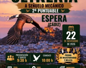 señuelo ok