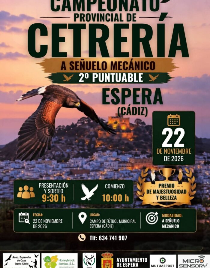 señuelo ok