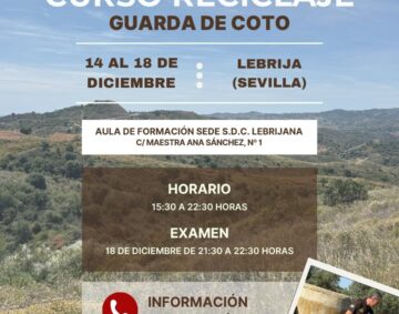 curso lebrija