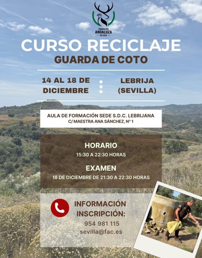 curso lebrija